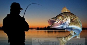 Рыболовный календарь: Лучший день августа для ночной рыбалки на щуку