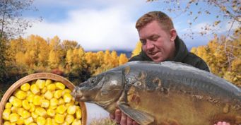 Карп скажет «ням-ням»: Насадка из кукурузы по осеннему рецепту для большой рыбы