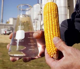 Биотопливо из кукурузы загрязняет атмосферу больше, чем бензин