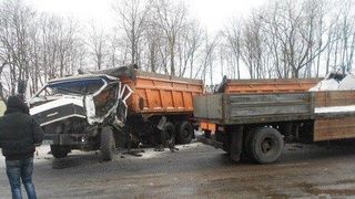 В Гомельской области Белоруссии столкнулись два МАЗа