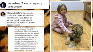 Дочь Тимати с тигрятами и гневные комментарии. Автор изображения Нина Беляева. 