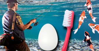 От зубной щётки до яичного белка: лайфхаки, которые помогут в летней рыбалке