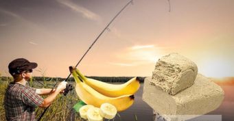 На что ловить карпа и карася летом: рецепт наживки из халвы и банана
