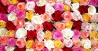 В Пензе открылся филиал службы доставки цветов Flowers-Sib.ru