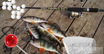От пенопласта до Чупа-чупса: 4 дедовские хитрости, которые помогут в рыбалке
