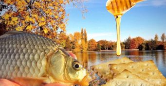 Сладкое для карася: Уловистая прикормка для фидерной рыбалки из крекеров и меда