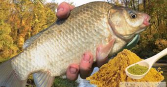 Ароматная рыбалка: карри и хмели-сунели для ловли карася и карпа осенью