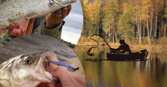 Как ловить рыбу жерех: Секреты рыбалки осенью, которые помогут поймать трофей