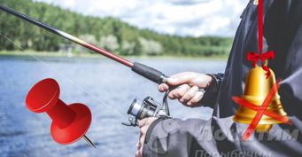 Магнит и фанера: советы для фидерной ловли, которые помогут новичкам и опытным рыбакам